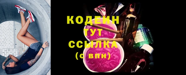 ПСИЛОЦИБИНОВЫЕ ГРИБЫ Гусь-Хрустальный