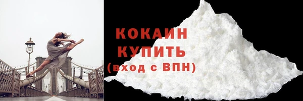 ПСИЛОЦИБИНОВЫЕ ГРИБЫ Гусь-Хрустальный