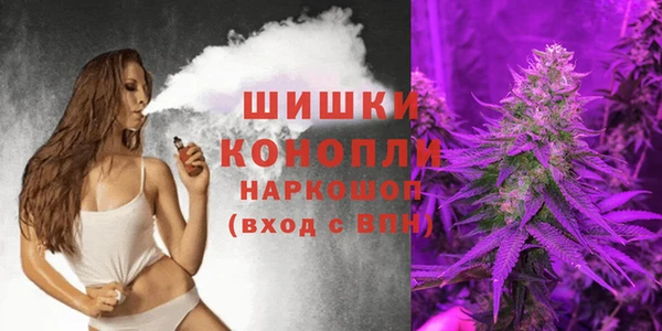 стафф Валдай