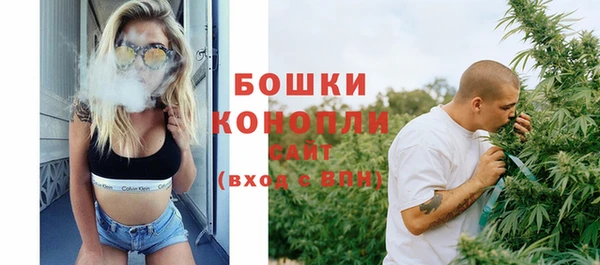 ПСИЛОЦИБИНОВЫЕ ГРИБЫ Гусь-Хрустальный