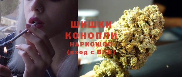 крисы Гусиноозёрск